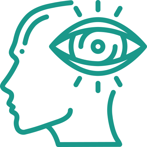 Vision AMFA